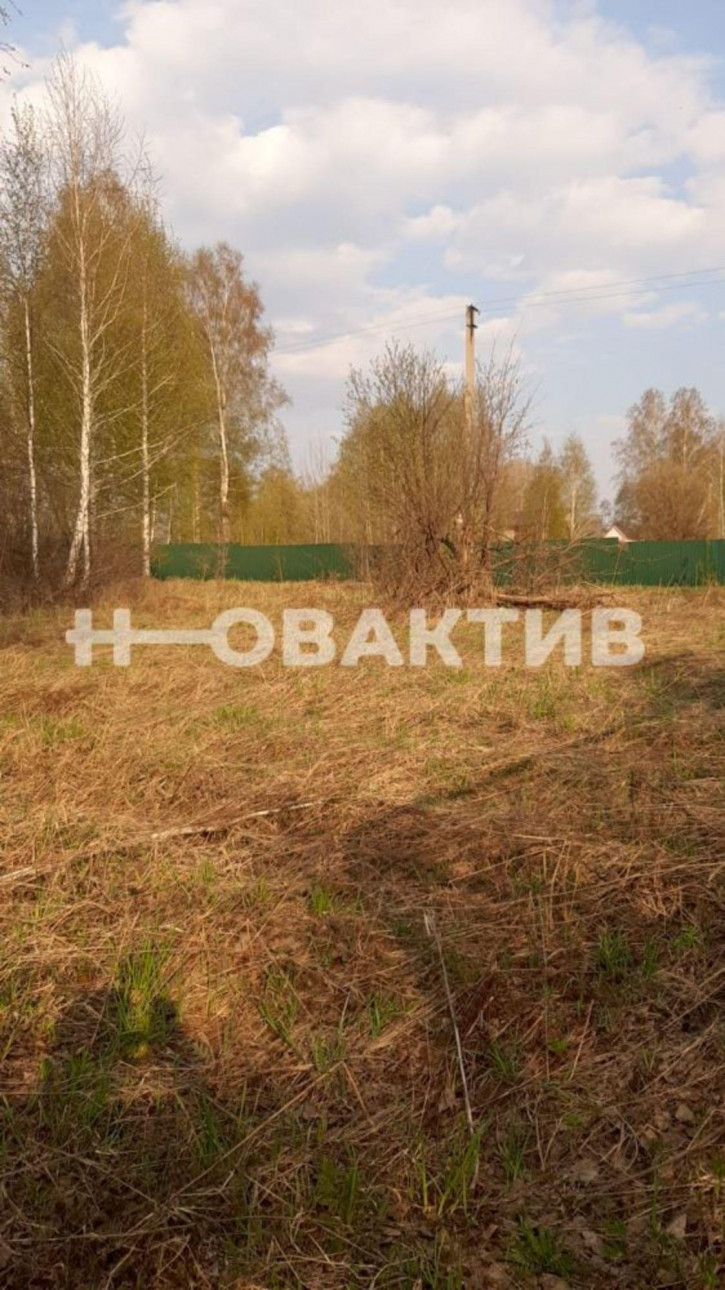 Земельный участок Новосибирская обл, Новосибирский р-н, тер. СНТ Ключи-2