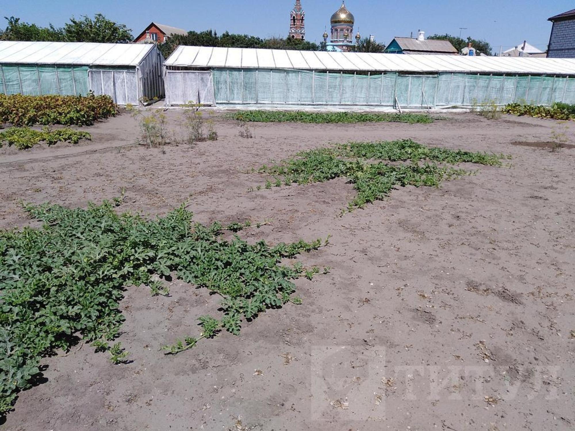 Купить дачу, дом, коттедж за 4 950 000 рублей на р-н. Азовский, х. Обуховка, ул. Ленина