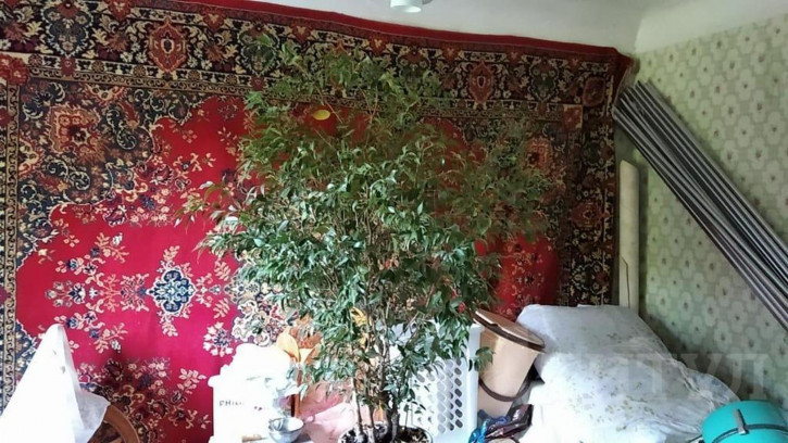 Коттедж/дом Александровка, ул. Кржижановского