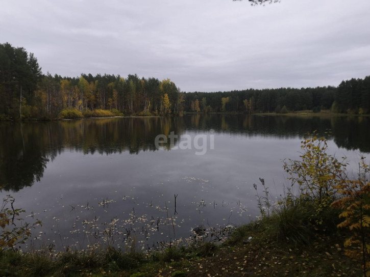 Земельный участок Елани, 42