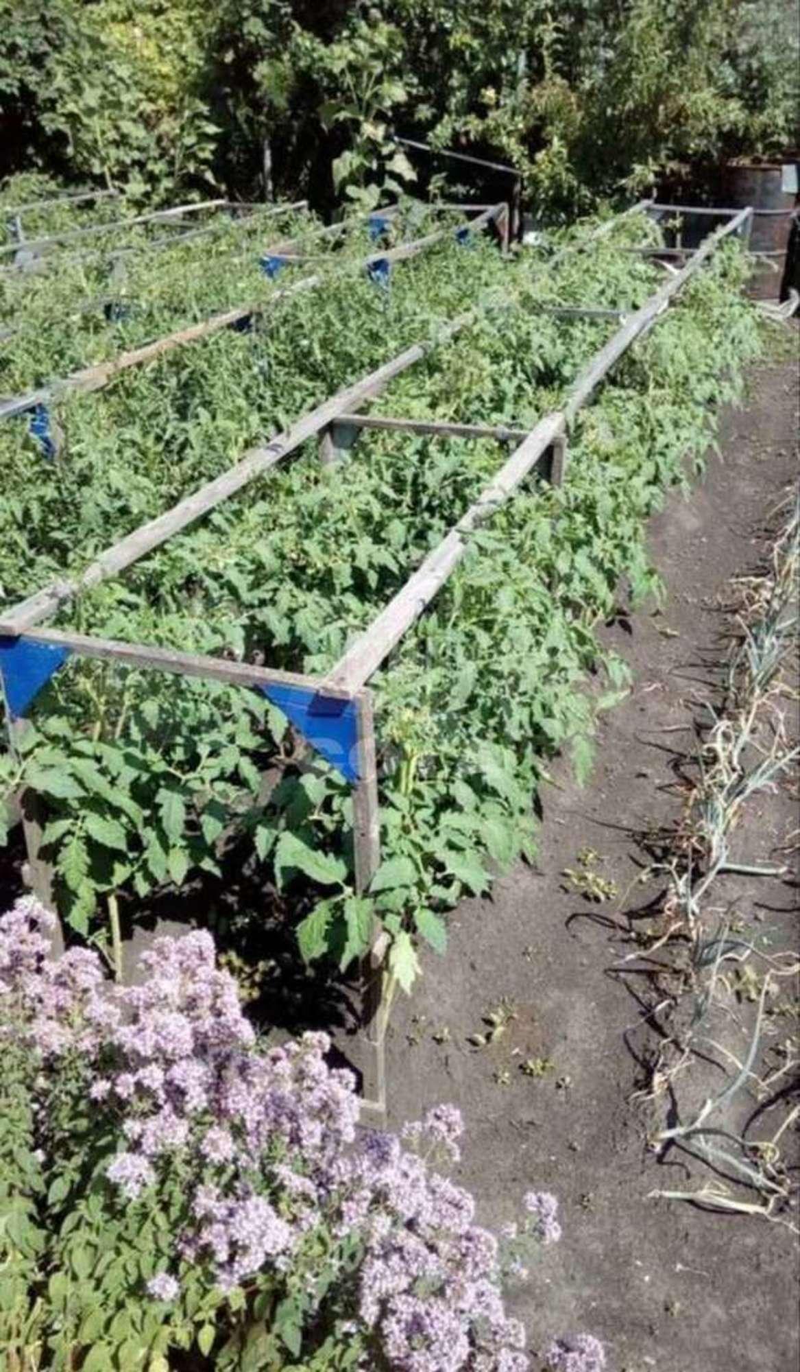 Купить дачу, дом, коттедж за 570 000 рублей на СНТ Спутник, 17