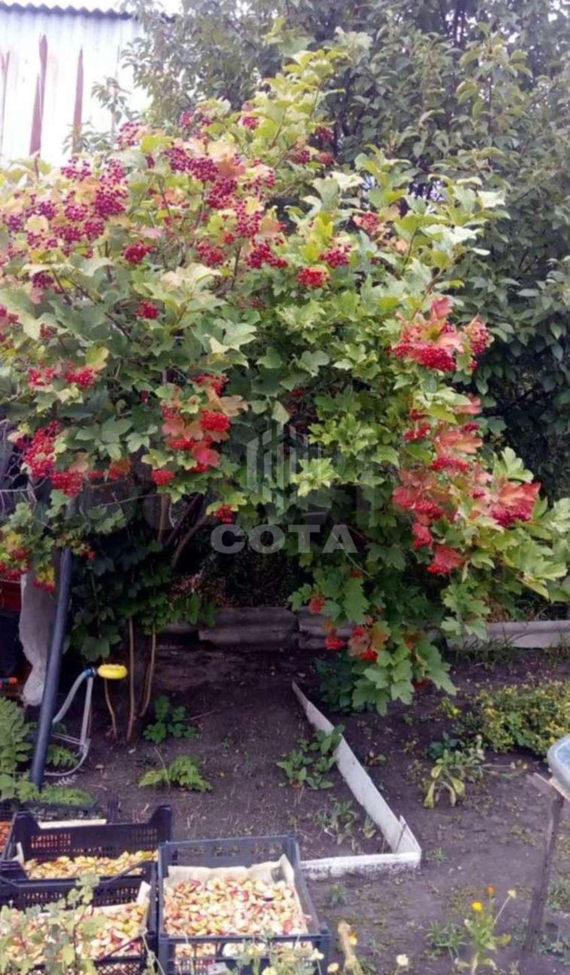 Купить дачу, дом, коттедж за 570 000 рублей на СНТ Спутник, 17