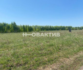 земля 20 сот Новосибирская обл, Новосибирский р-н, село Плотниково