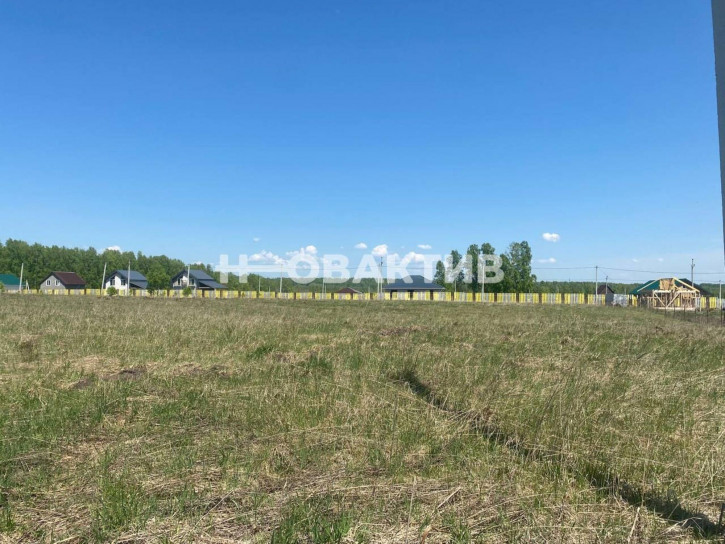 Земельный участок Новосибирская обл, Новосибирский р-н, село Плотниково