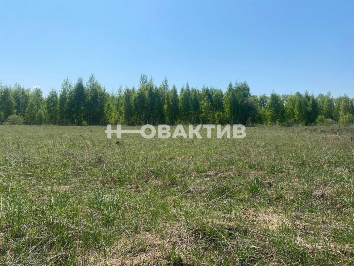 Земельный участок Новосибирская обл, Новосибирский р-н, село Плотниково