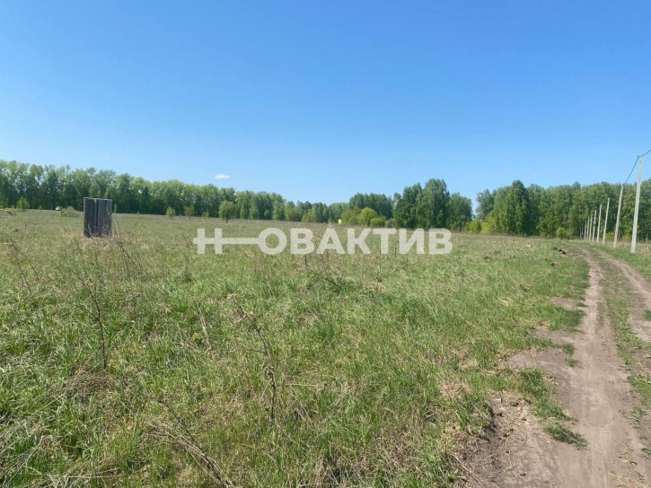 Земельный участок Новосибирская обл, Новосибирский р-н, село Плотниково