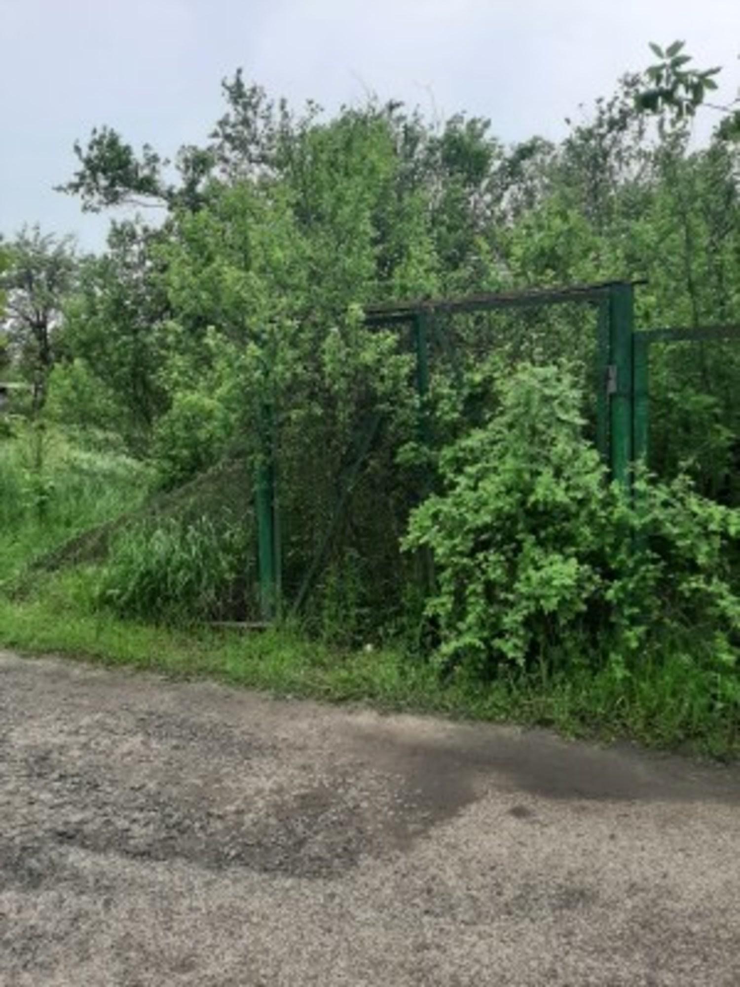 Купить землю, земельный участок за 3 500 000 рублей на Ветвистая