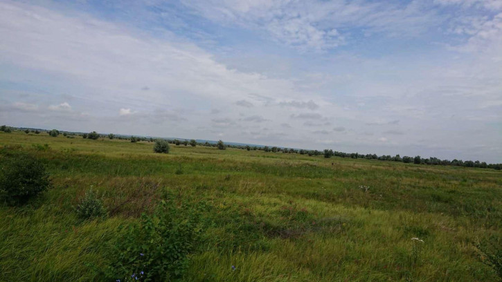 Земельный участок Красный Яр село