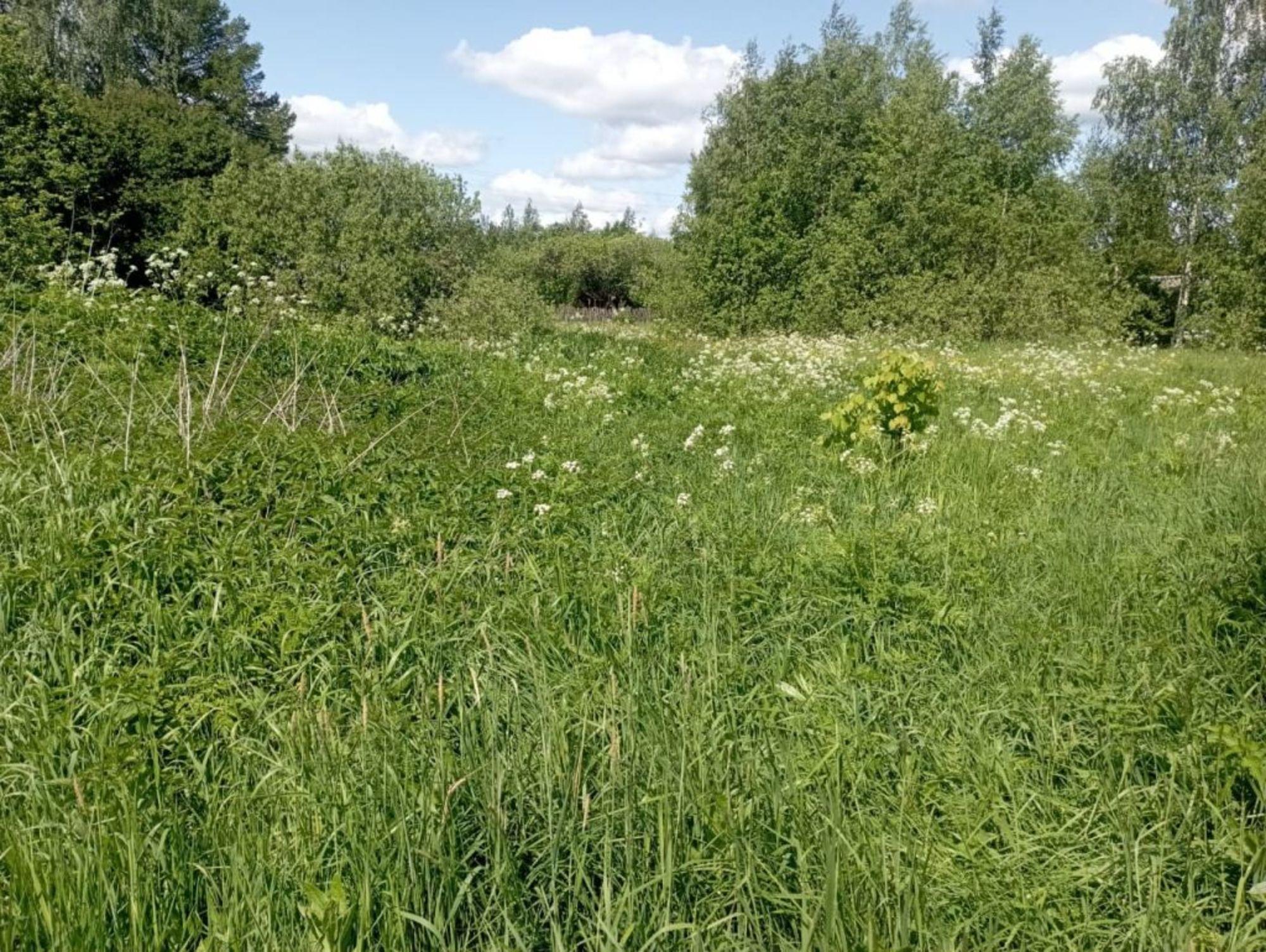 Купить землю, земельный участок за 250 000 рублей на , 4