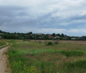 земля 6 сот село Береговое