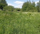 земля 19 сот , 4