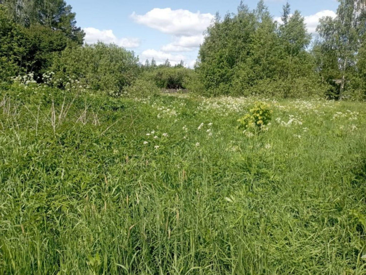 Земельный участок , 4