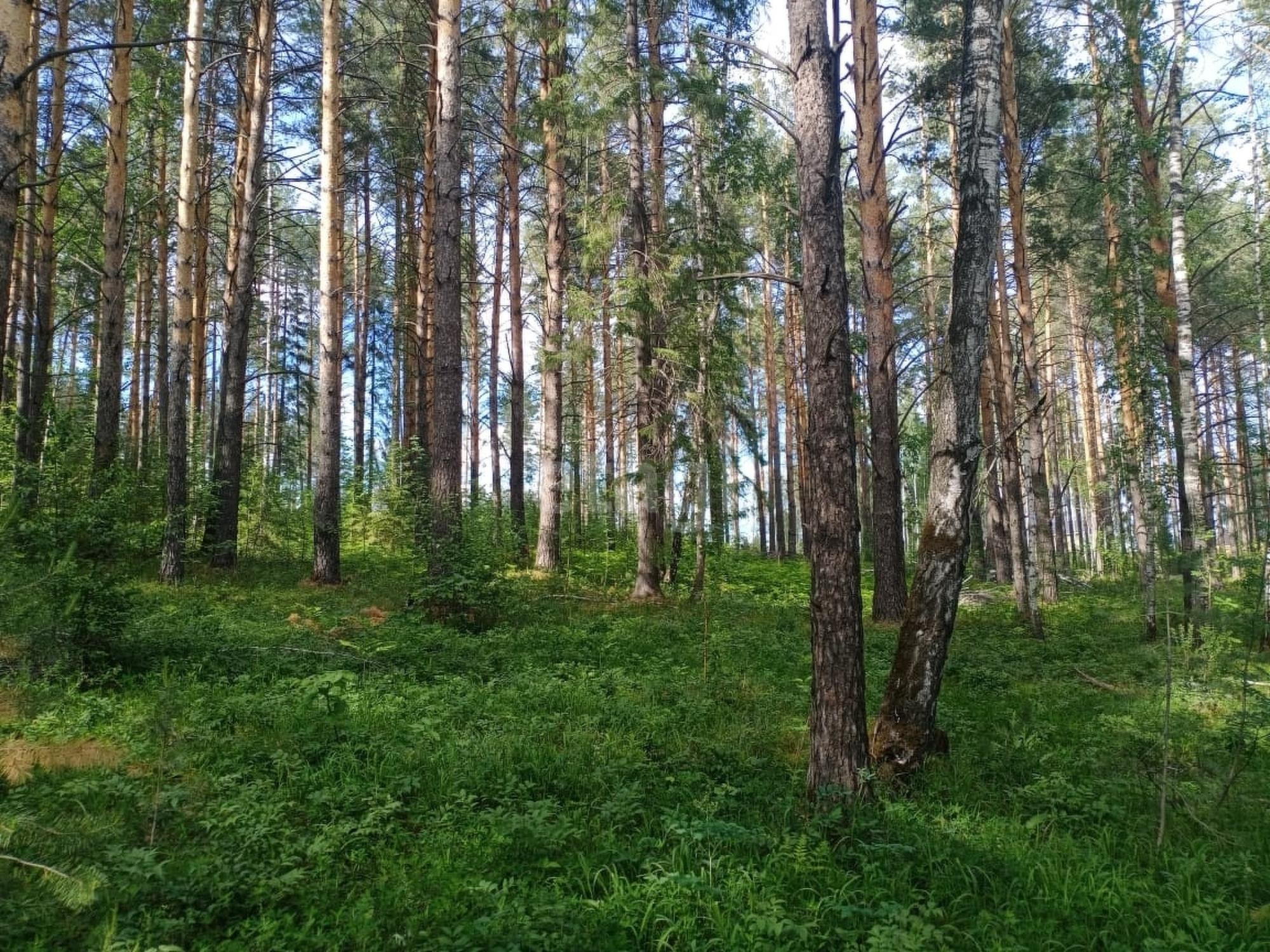 Купить землю, земельный участок за 700 000 рублей на Дегтярск,Уральская 558