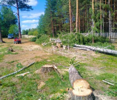 земля 15.1 сот Дегтярск,Советская 125