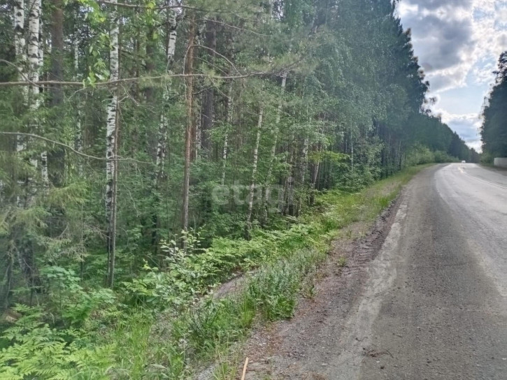 Земельный участок Дегтярск,Уральская 50г