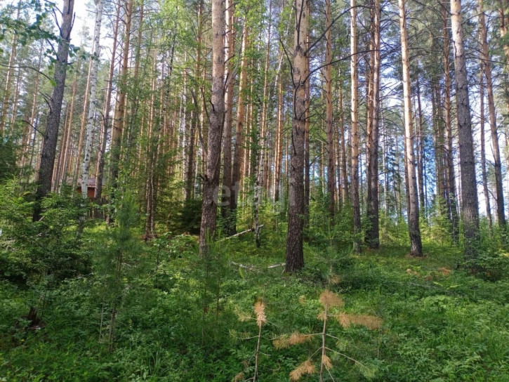 Земельный участок Дегтярск,Уральская 558