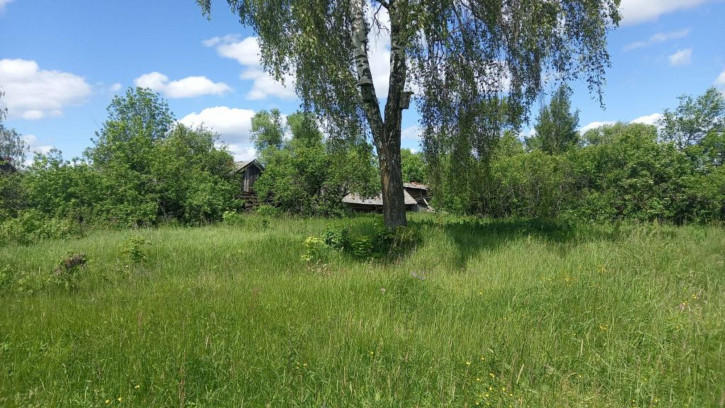 Земельный участок Центральная, 8