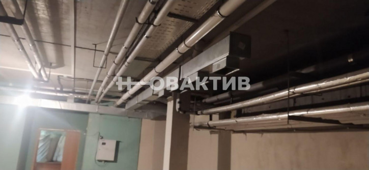 Помещение свободного назначения улица Дуси Ковальчук, 238