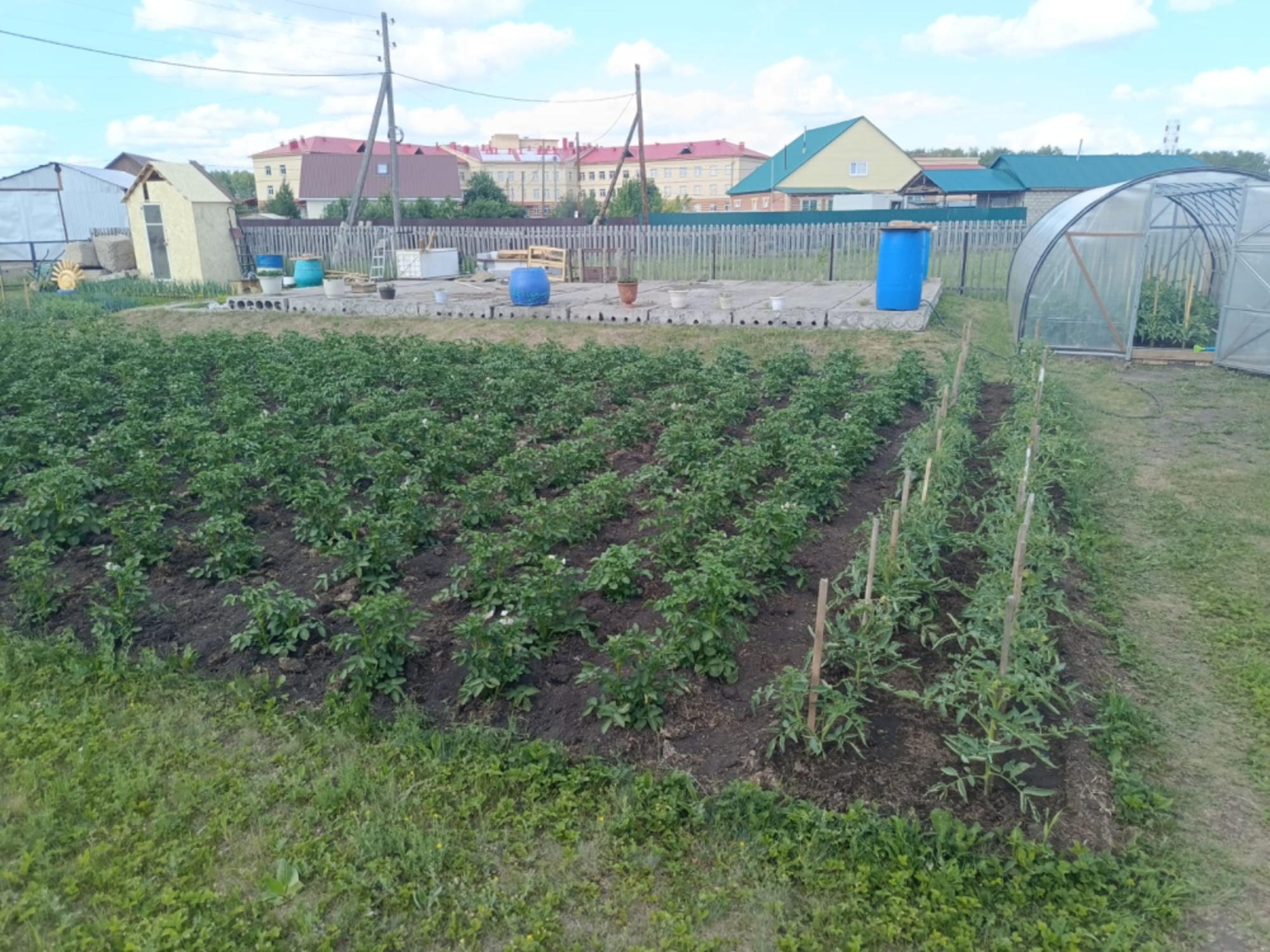 Купить дачу, дом, коттедж за 1 500 000 рублей на пер Братский