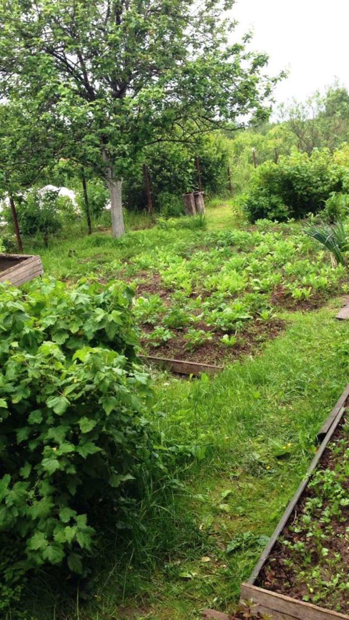 Купить квартиру за 700 000 рублей на Полевая, 7