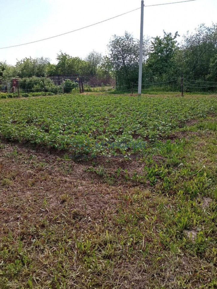 Земельный участок Прокошево