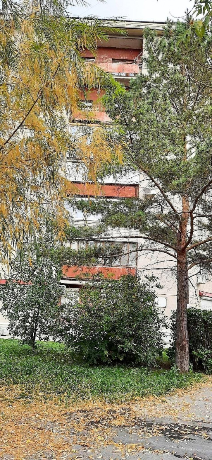 2-комн квартира Республики, 213