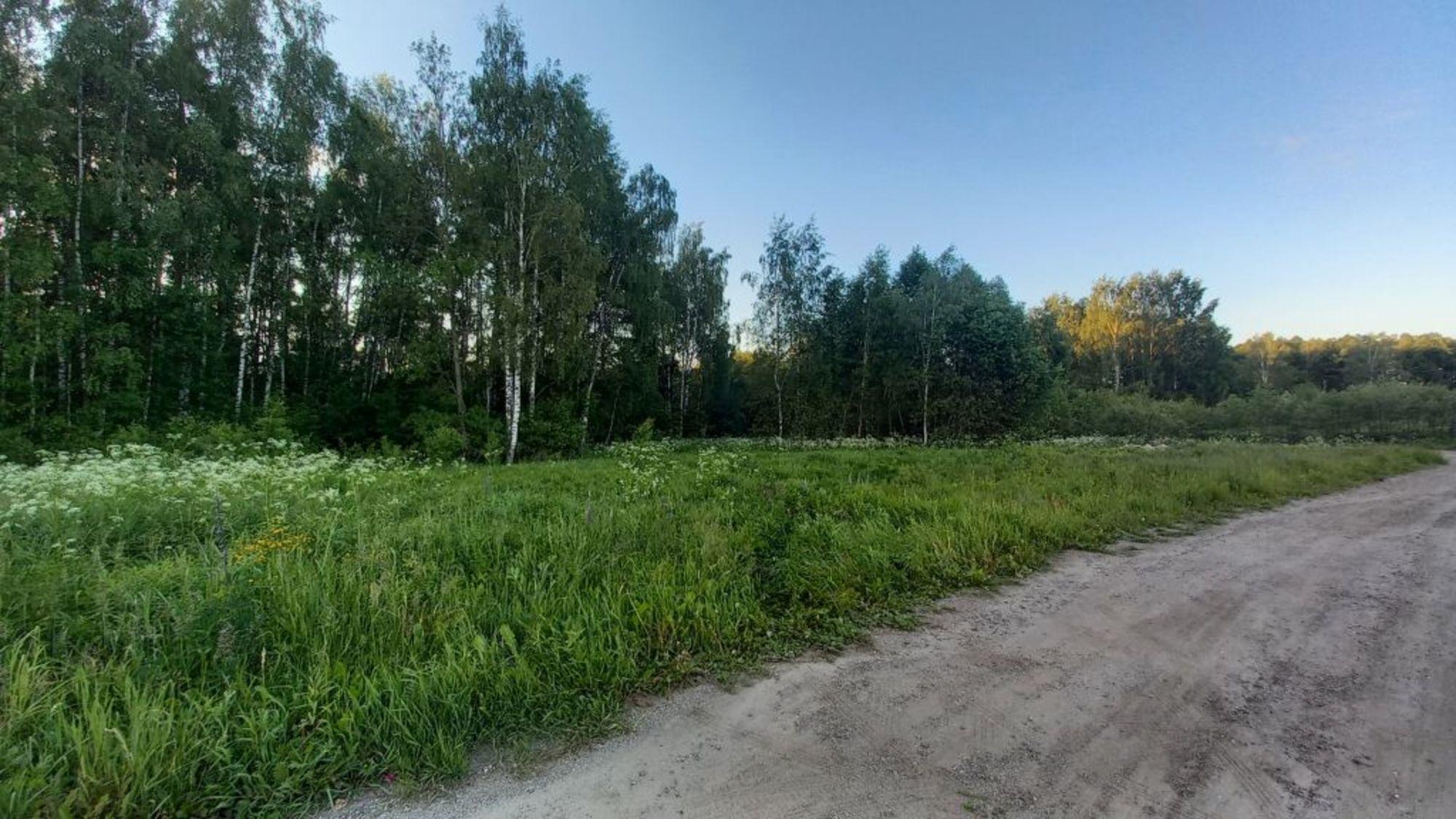 Купить землю, земельный участок за 3 500 000 рублей на Шепелево д
