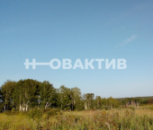 земля 98.78 сот Новосибирская обл, Мошковский р-н, село Томилово