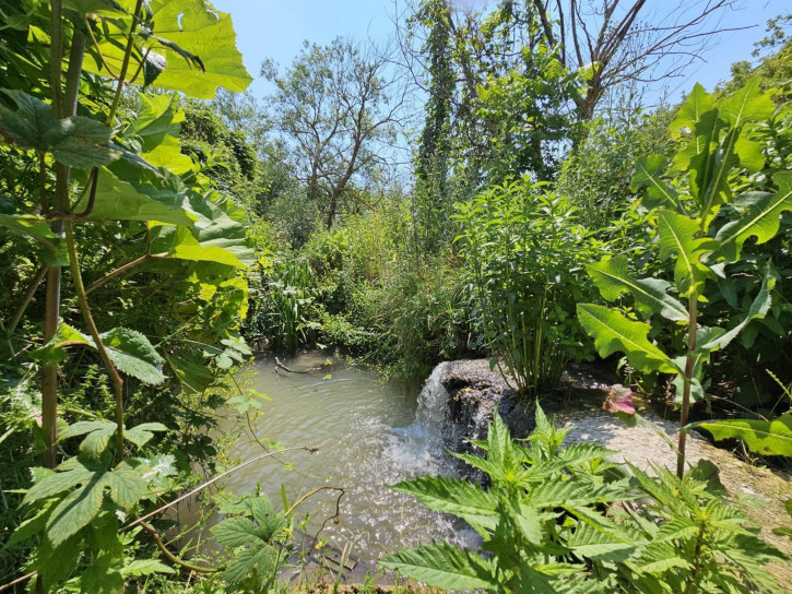 Земельный участок село Варваровка