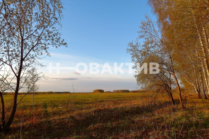 Земельный участок Новосибирская обл, Мошковский р-н, село Томилово