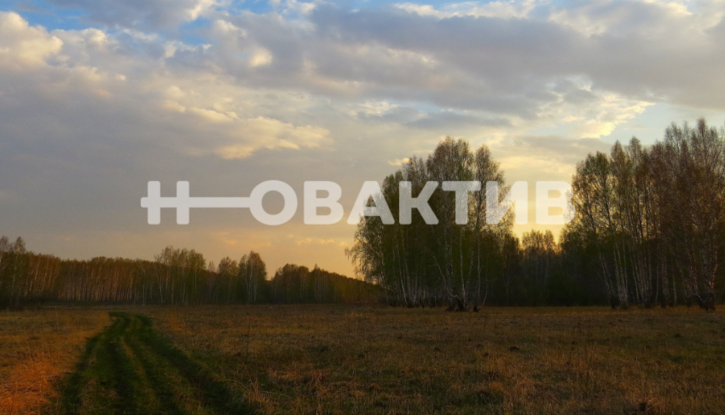 Земельный участок Новосибирская обл, Мошковский р-н, село Томилово