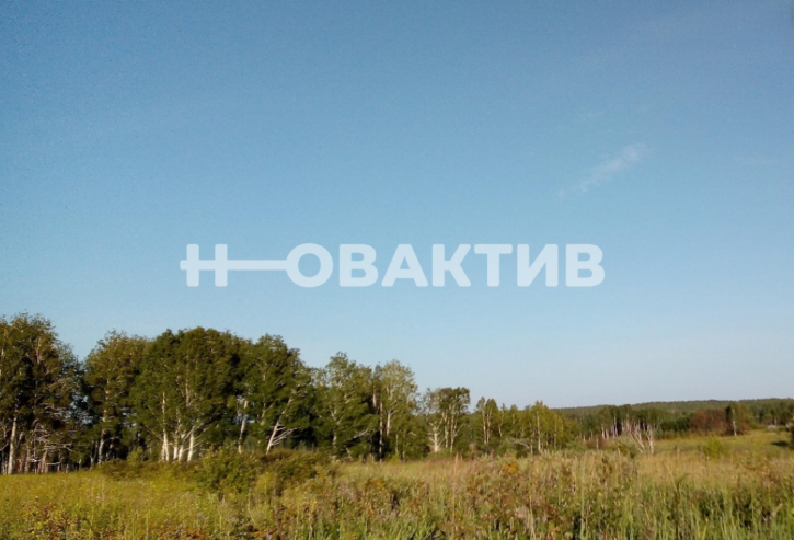 Земельный участок Новосибирская обл, Мошковский р-н, село Томилово