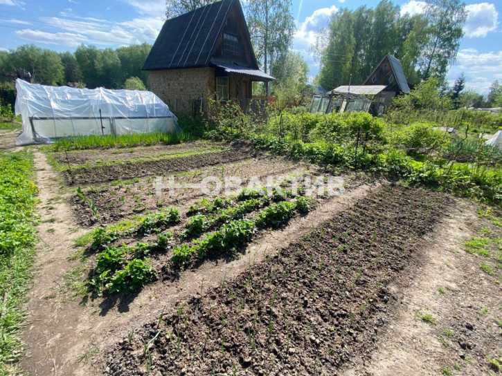 Земельный участок Новосибирск,садоводческое некоммерческое товарищество Кристалл, 50 Барышевский сельсовет, Новосибирский район