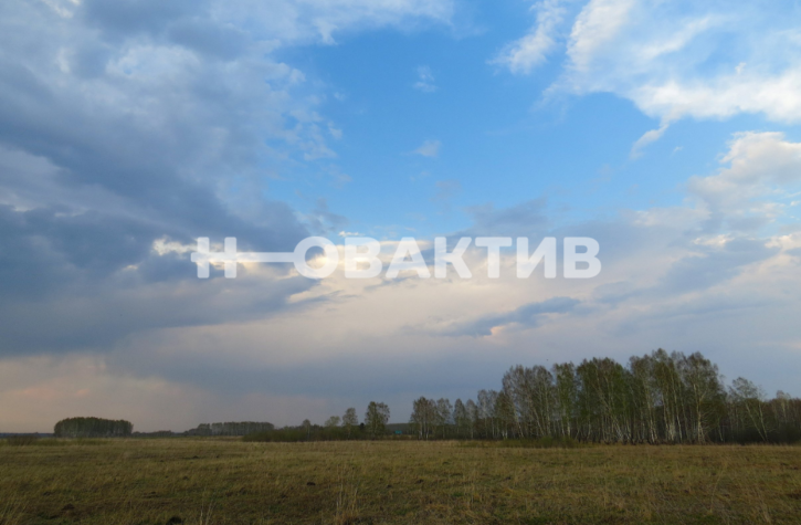 Земельный участок Новосибирская обл, Мошковский р-н, село Томилово