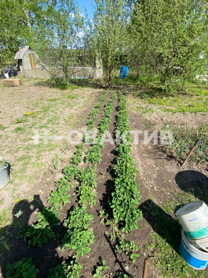 Земельный участок Новосибирск,садоводческое некоммерческое товарищество Кристалл, 50 Барышевский сельсовет, Новосибирский район