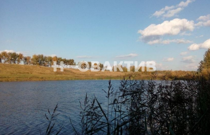 Земельный участок Новосибирская обл, Мошковский р-н, село Томилово