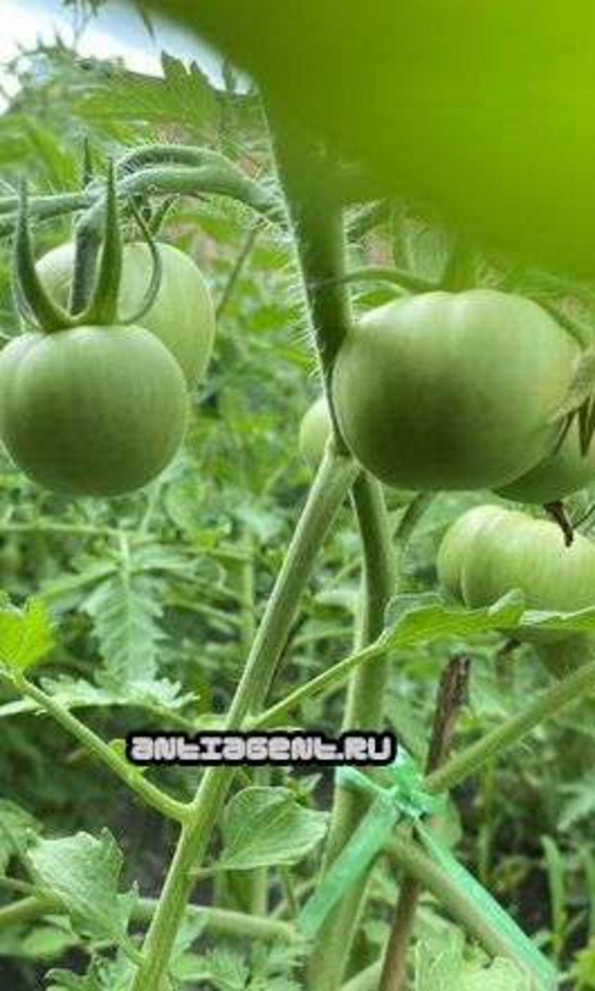 Купить дачу, дом, коттедж за 13 700 000 рублей на 1-й пр-д Гастелло, 9