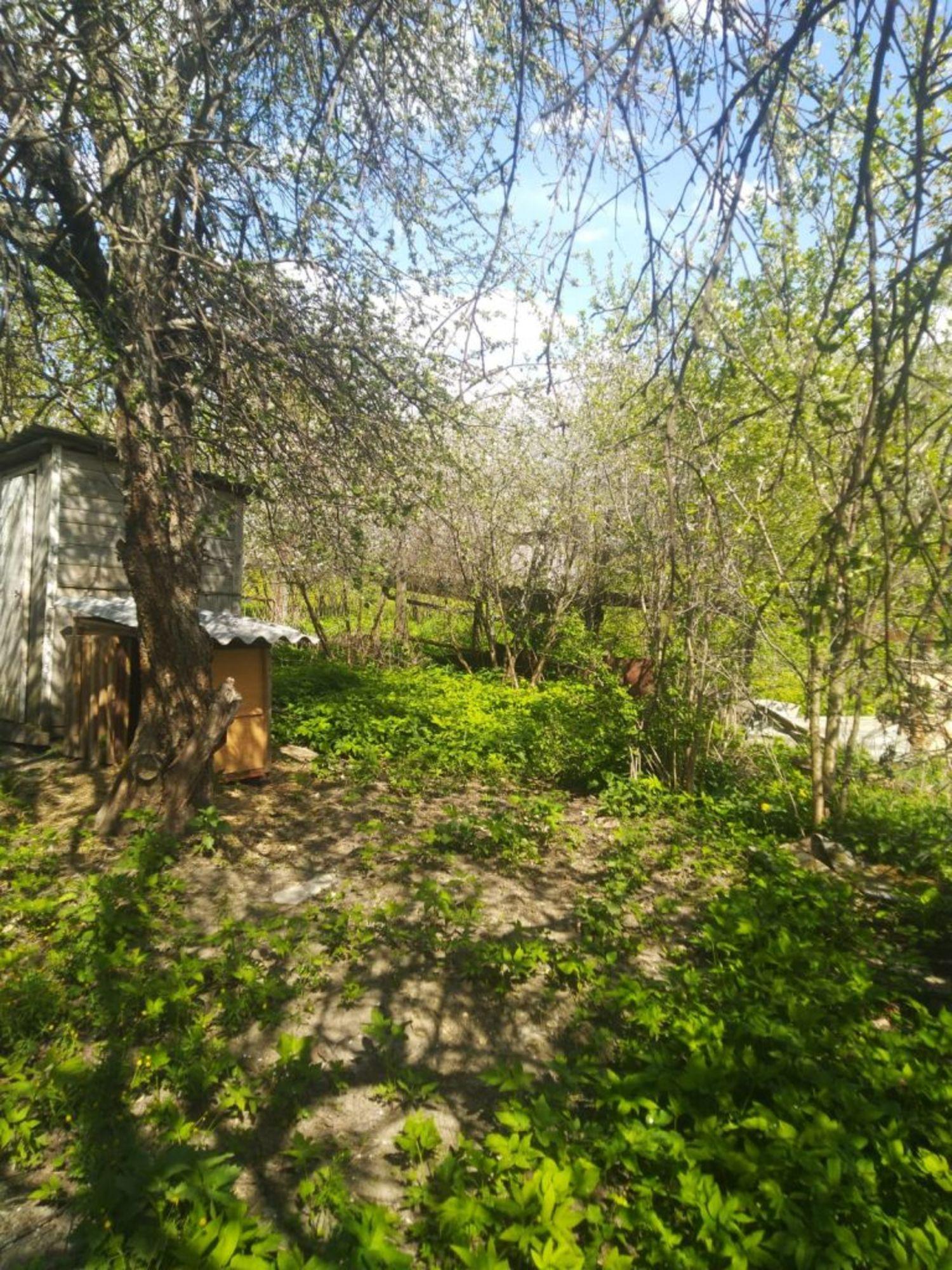 Купить дачу, дом, коттедж за 600 000 рублей на Яновец с