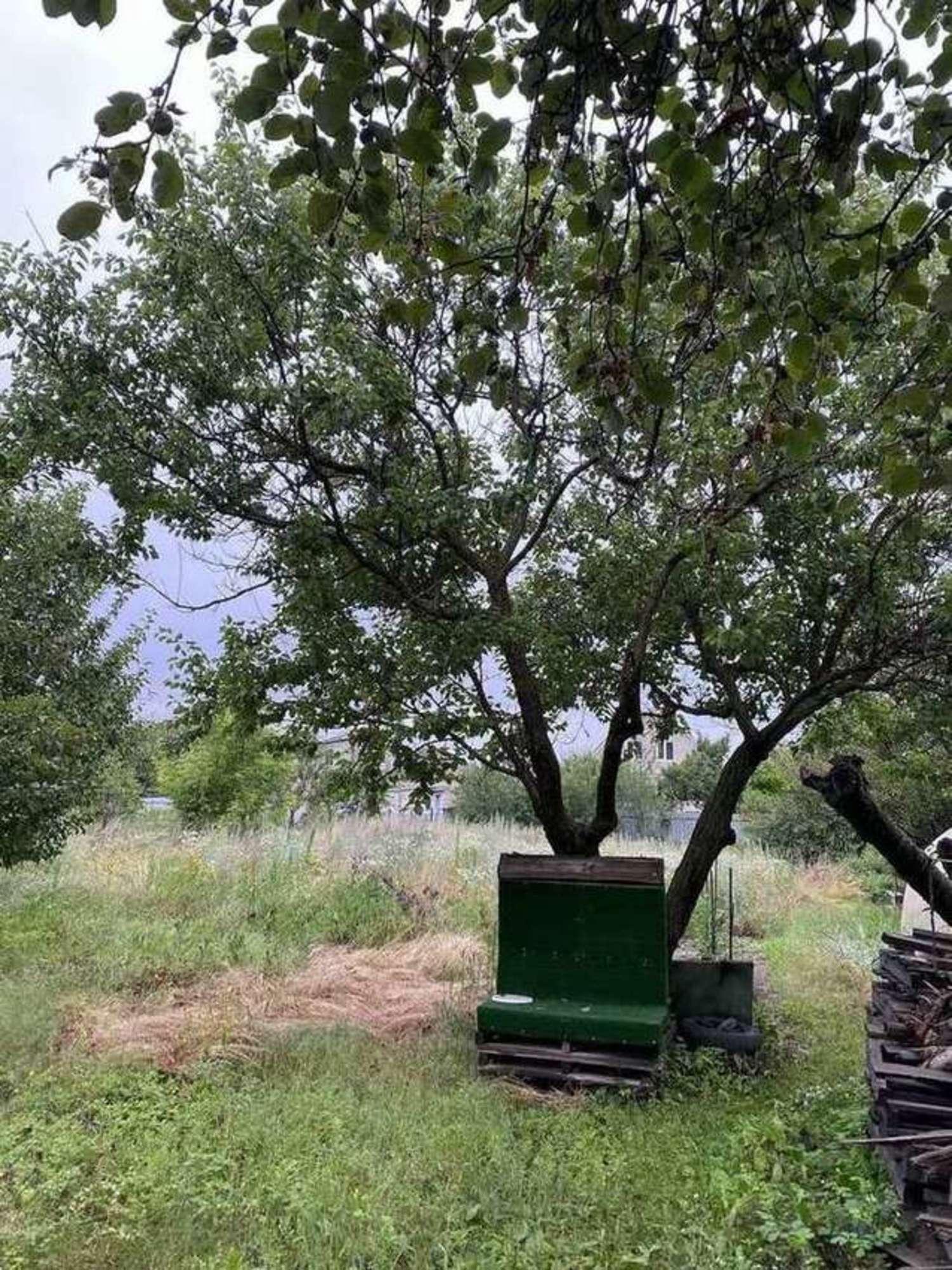 Купить дачу, дом, коттедж за 13 500 000 рублей на Дроздовый переулок, 19