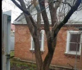коттедж 65 кв м Новая ул, 8