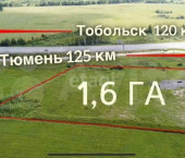 земля 162.45 сот Тюмень