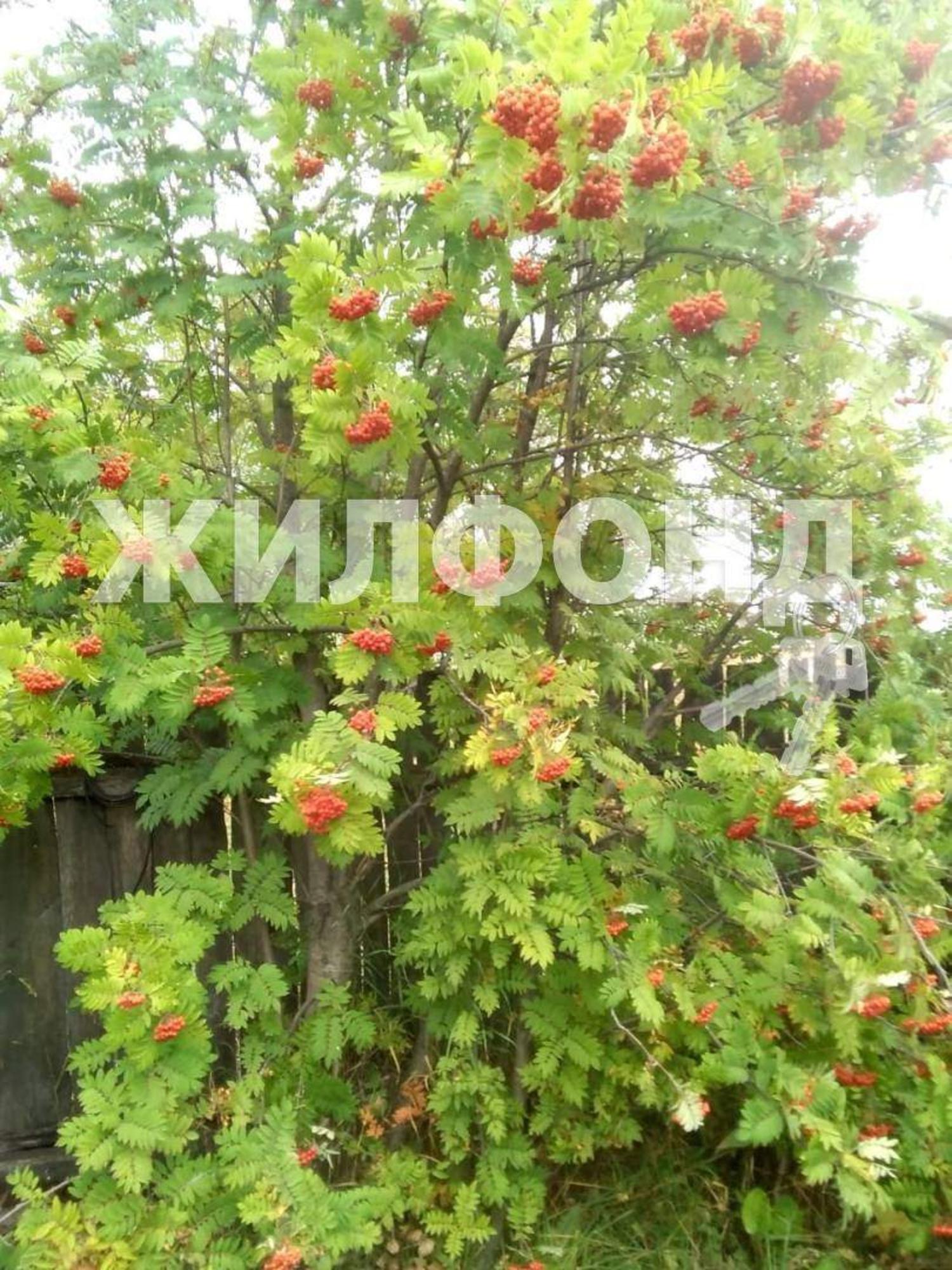 Купить дачу, дом, коттедж за 1 200 000 рублей на Новая улица
