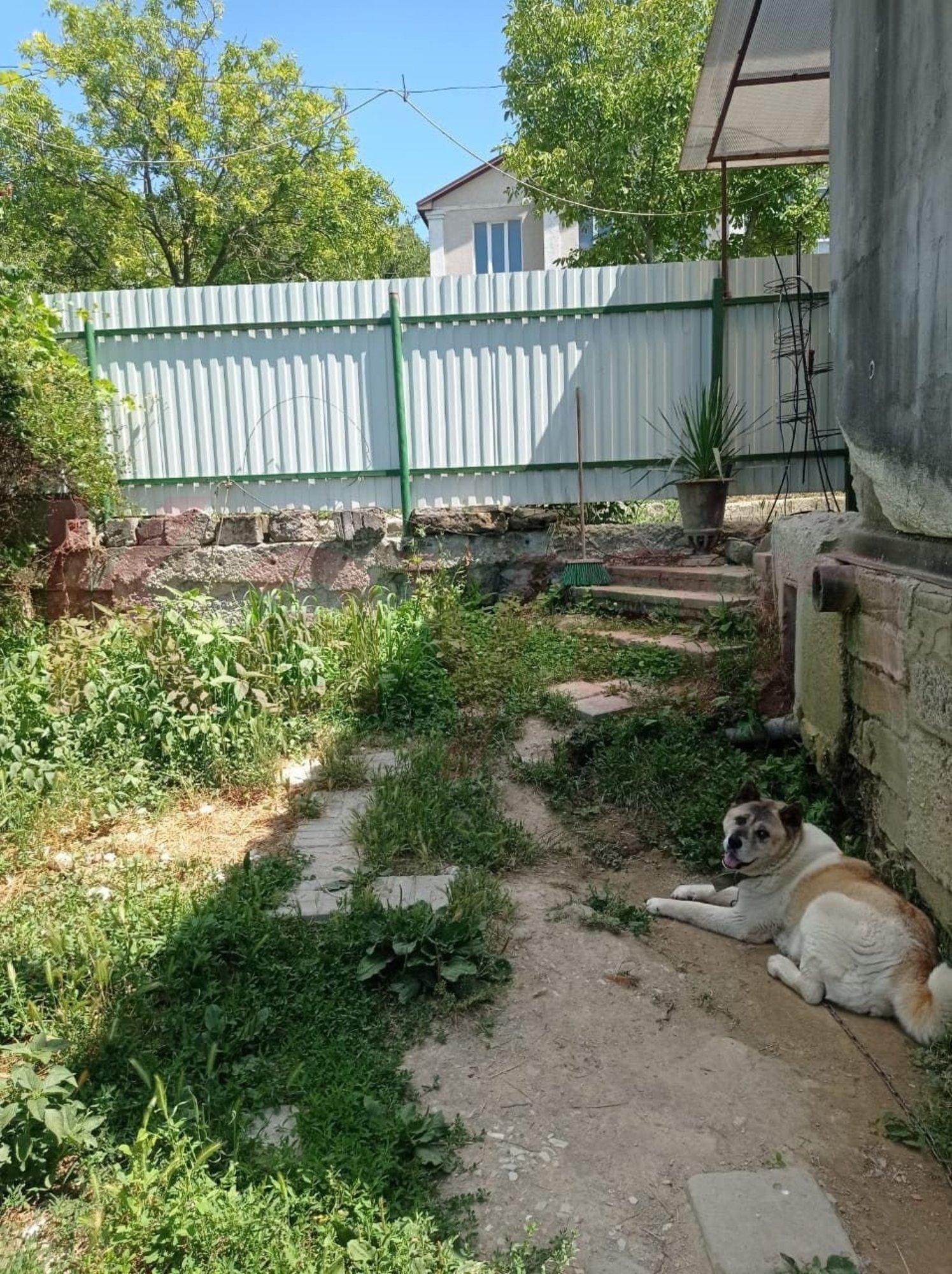 Купить дачу, дом, коттедж за 5 500 000 рублей на Новороссийск