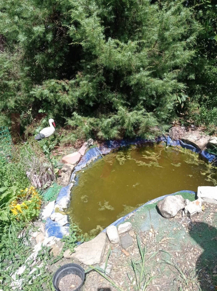 Коттедж/дом Новороссийск