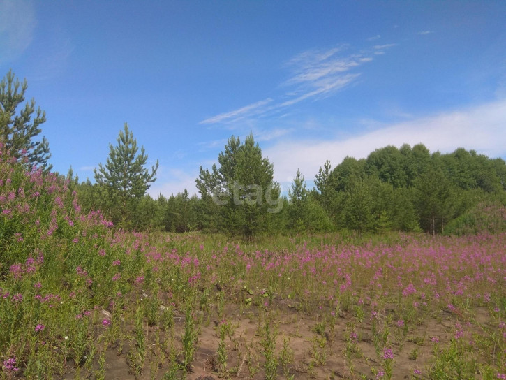 Земельный участок Ермолина