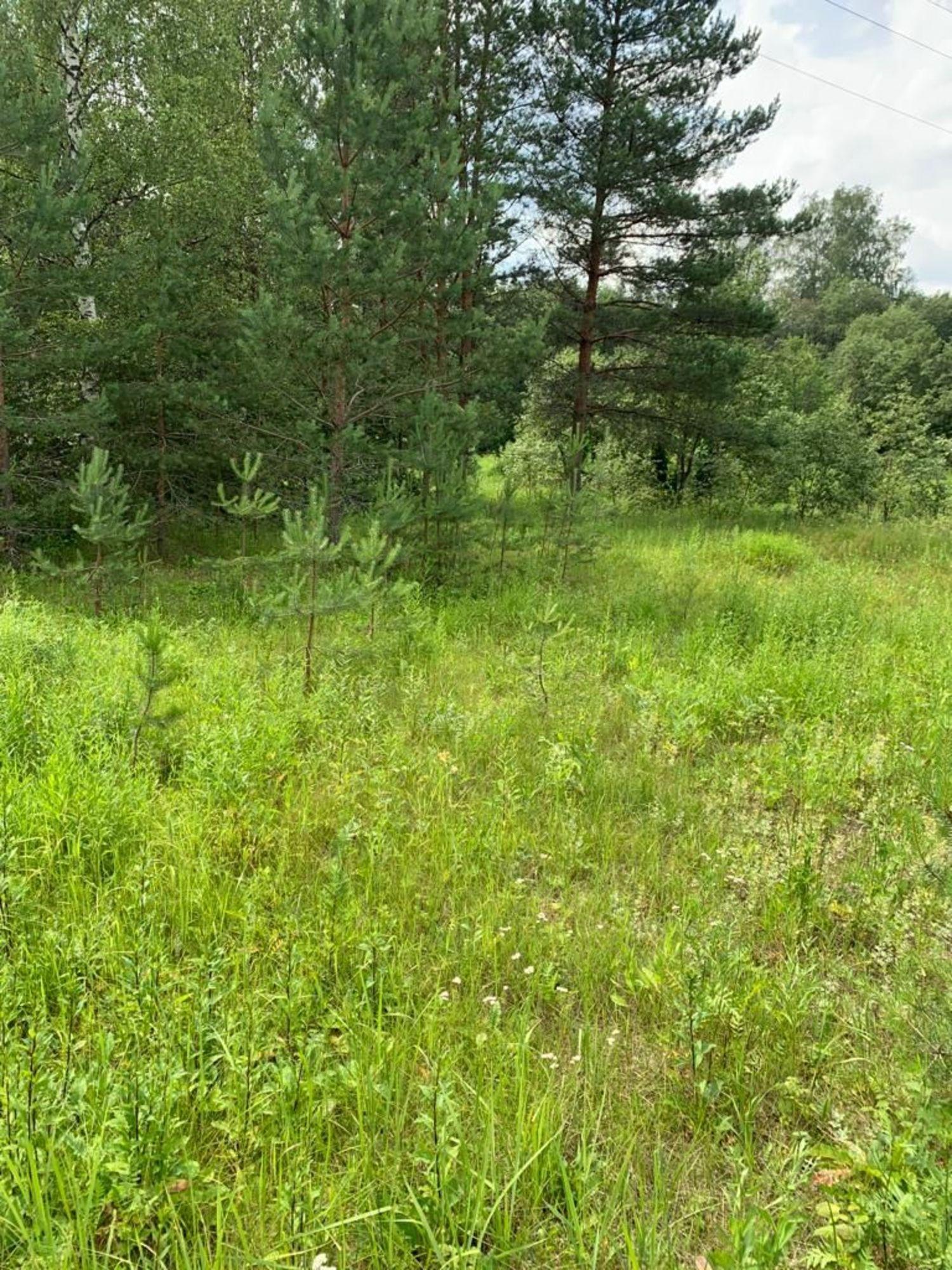 Купить землю, земельный участок за 150 000 рублей на СНТ Солнышко , 1