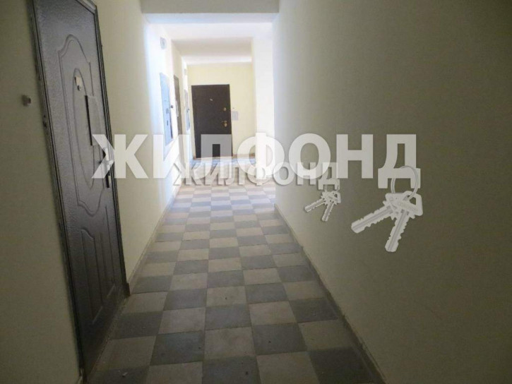 1-комн квартира Ключ-Камышенское Плато улица, д.17