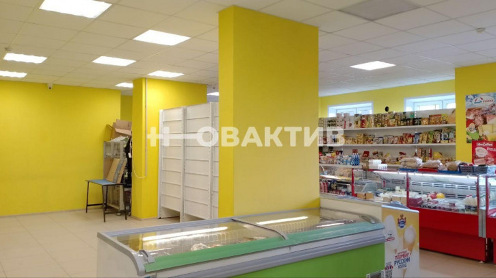 Торговое помещение улица Кирова, 236
