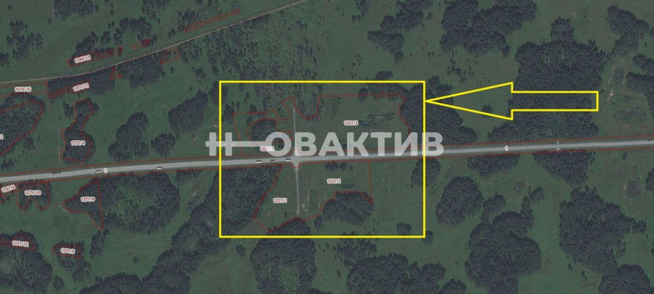 Земельный участок Новосибирская обл, Чановский р-н, аул Тебис