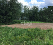 земля 6 сот деревня Руново, 150010